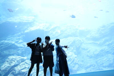 水族館１