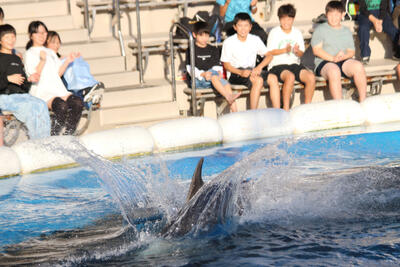 水族館２